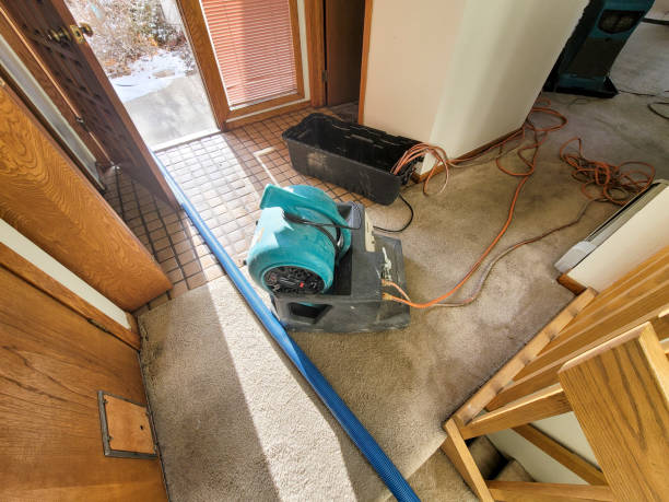Best Water damage restoration near me  in Reading, PA