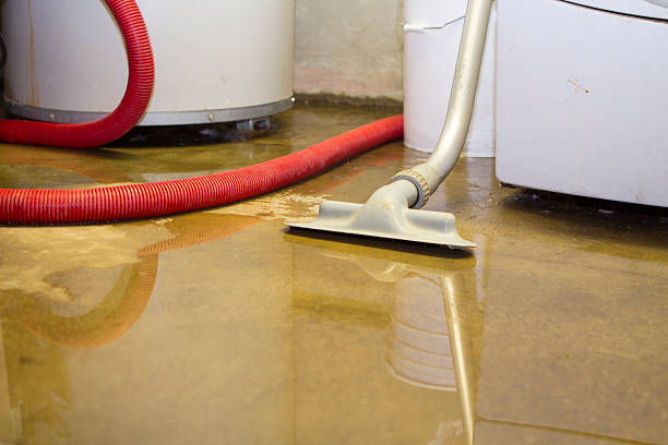Best Carpet water damage restoration  in Reading, PA