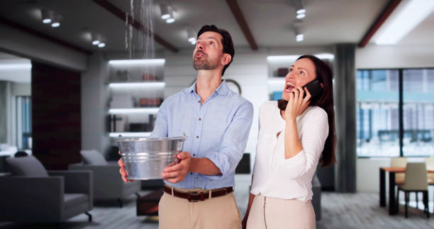 Best Carpet water damage restoration  in Reading, PA