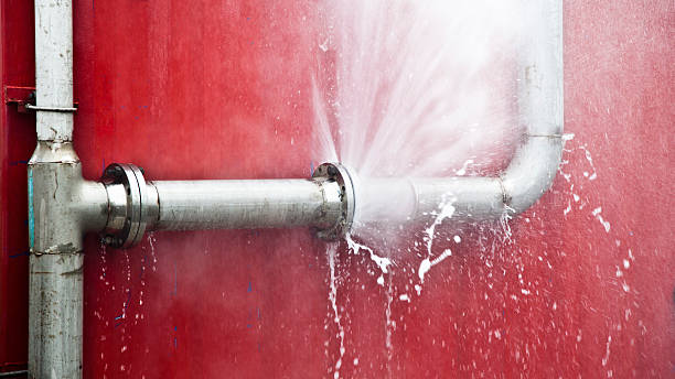 Best Flood damage cleanup  in Reading, PA